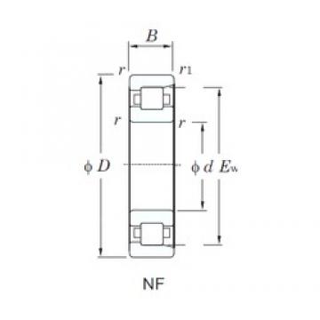 KOYO NF318 cylindrical roller bearings