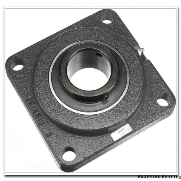 BROWNING VTBS-216 CTY Bearings  #3 image